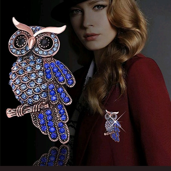 Jewelry - Lovely Beautiful Blue Owl Brooche and 👑Host Pick